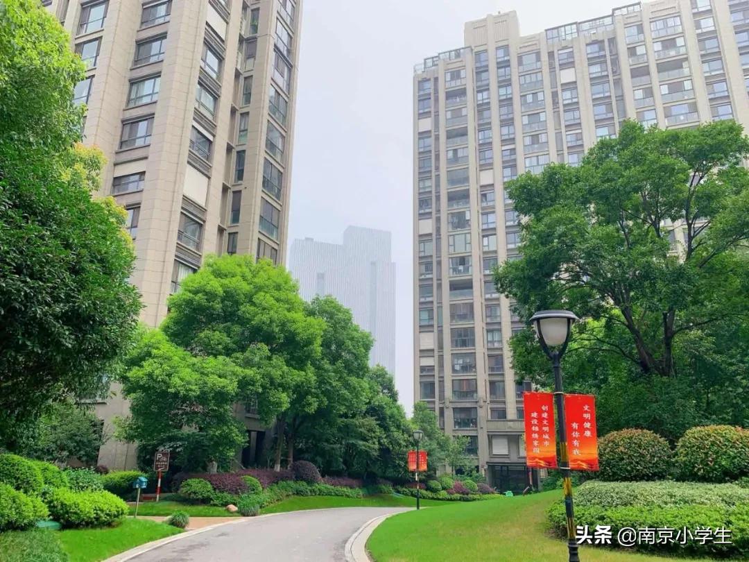 南师大附属中学江山小学地址,南师附中江山小学公示