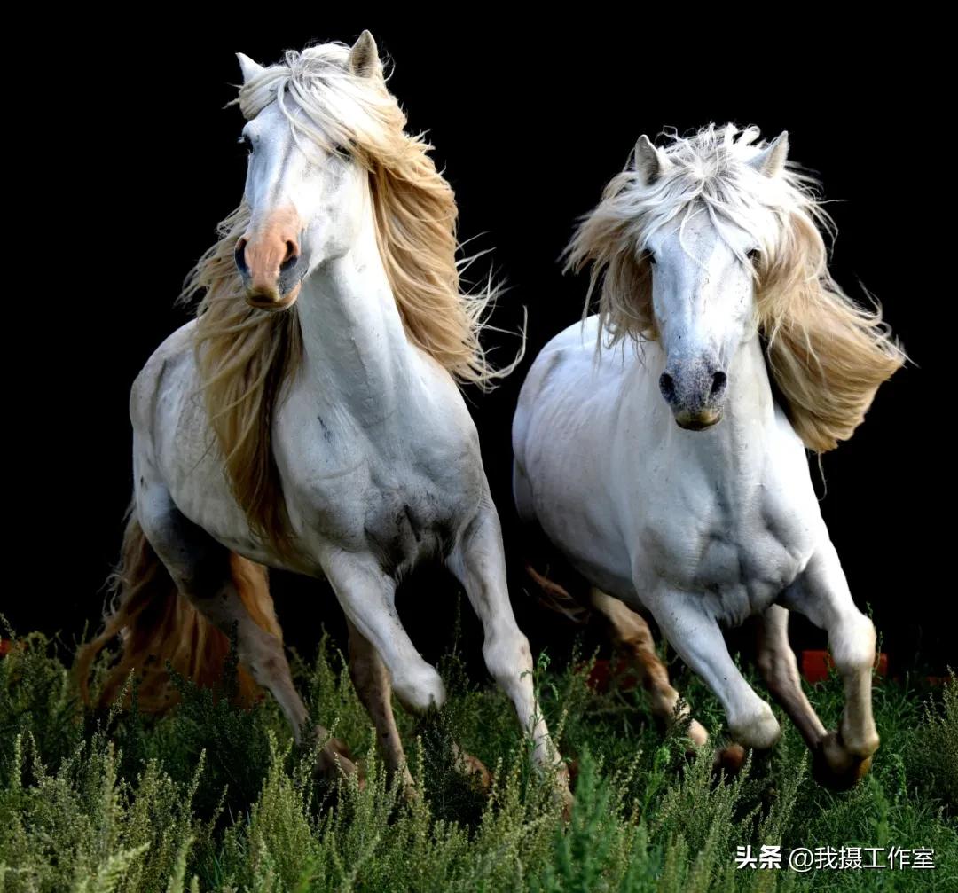 第16届国际摄影艺术展获奖作品,第29届全国摄影艺术展览作品集