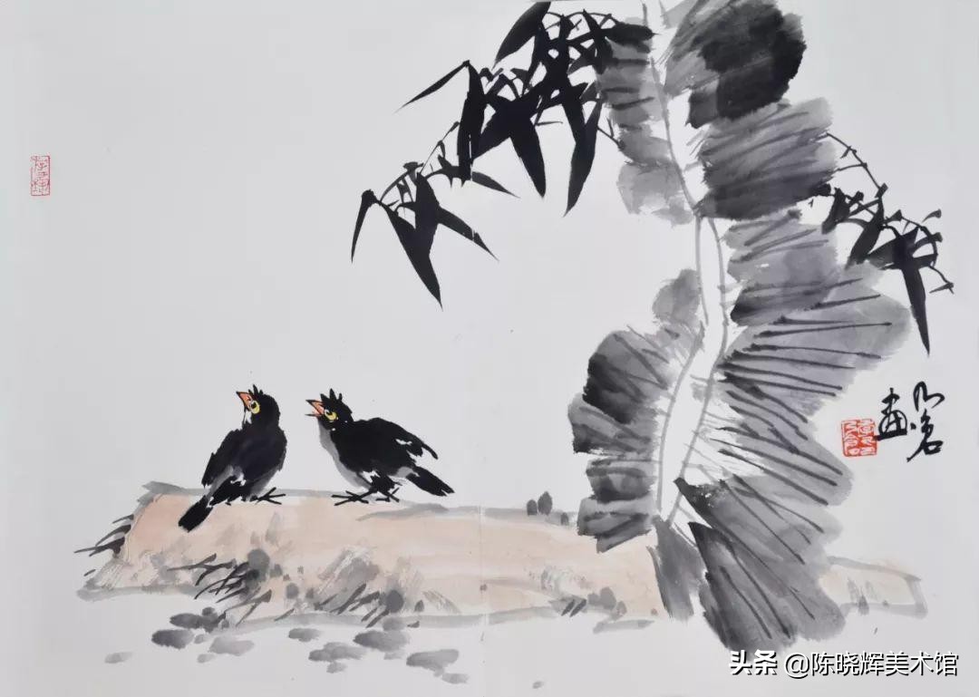 国画芭蕉教学设计,写意芭蕉的画法步骤