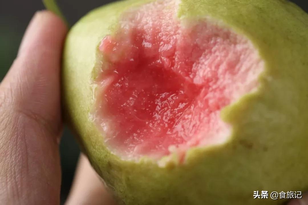 正宗又甜又脆红心芭乐,芭乐软糯香甜5斤