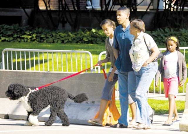 美国总统奥巴马老了的图片,奥巴马退休出街