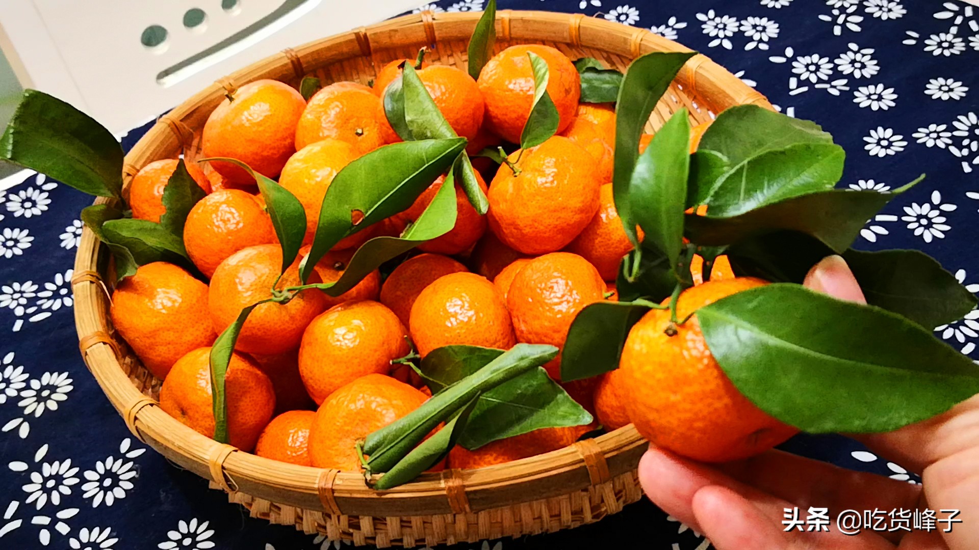 砂糖橘哪个季节好吃,过年少不了的砂糖橘