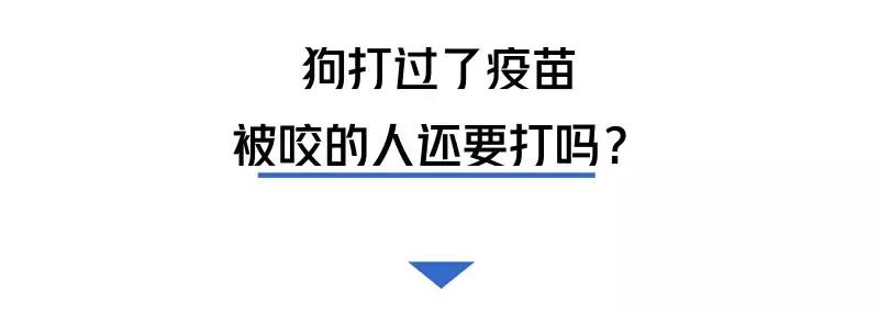 被猫狗咬伤如何正确处理,被猫狗咬伤十天了还能打针吗