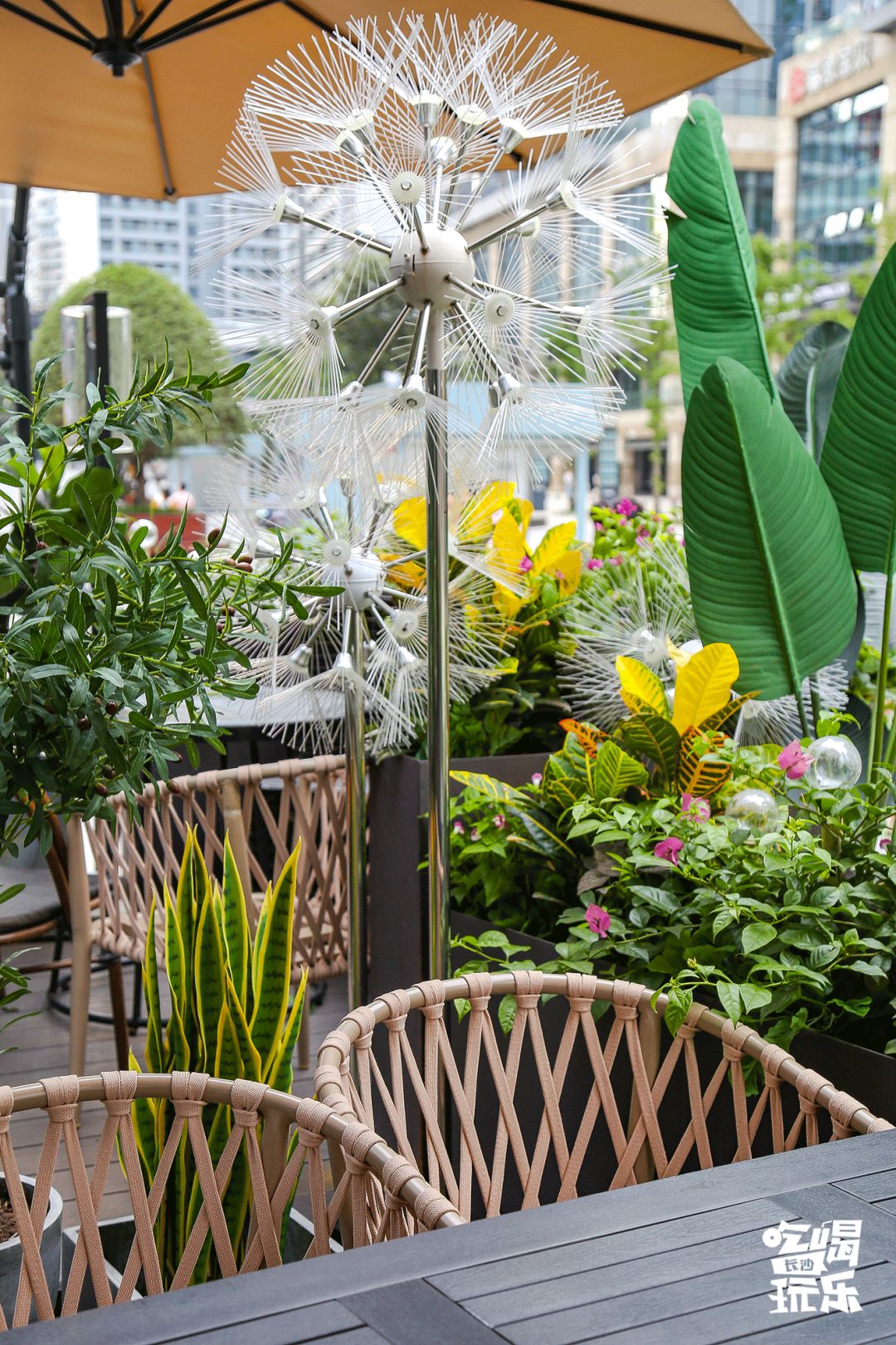 长沙城南绝美音乐餐厅!7.8折吃遍全国精致料理