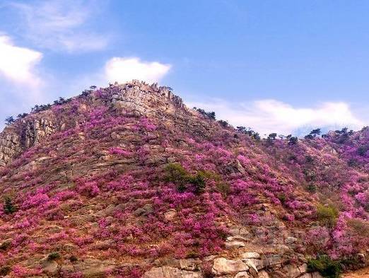 青岛西海岸新区发展前景,青岛下一个崛起的地方