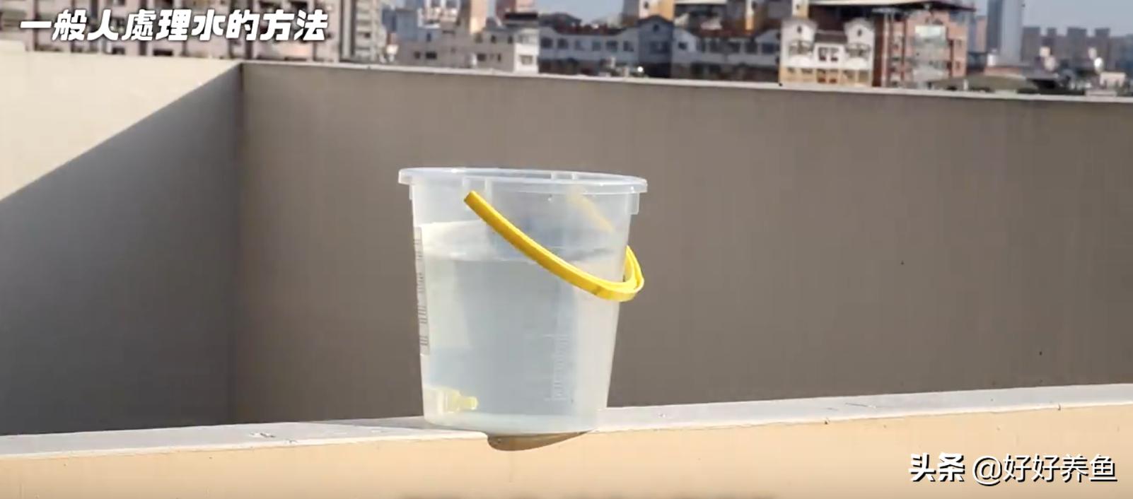 鱼缸换水注意事项养鱼老道,鱼缸养鱼换水的重要性