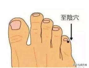 夏天艾灸和冬天艾灸,又到了艾灸的季节