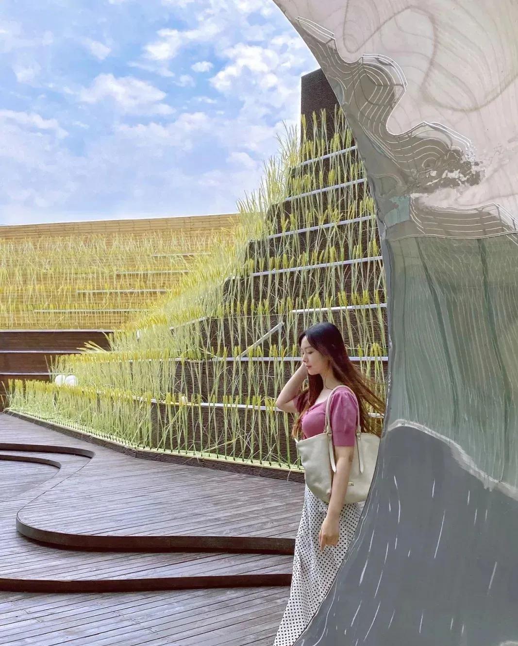 私藏拍照最好的地方,天津适合拍照又安静的地方