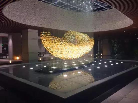 水月周庄铂尔曼酒店夜景,水月周庄铂尔曼酒店是几星级酒店