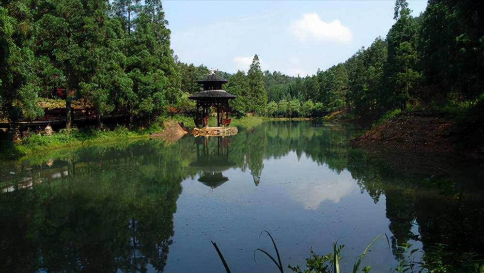 重庆地火村燃烧60年不熄灭,重庆地上冒火的村庄