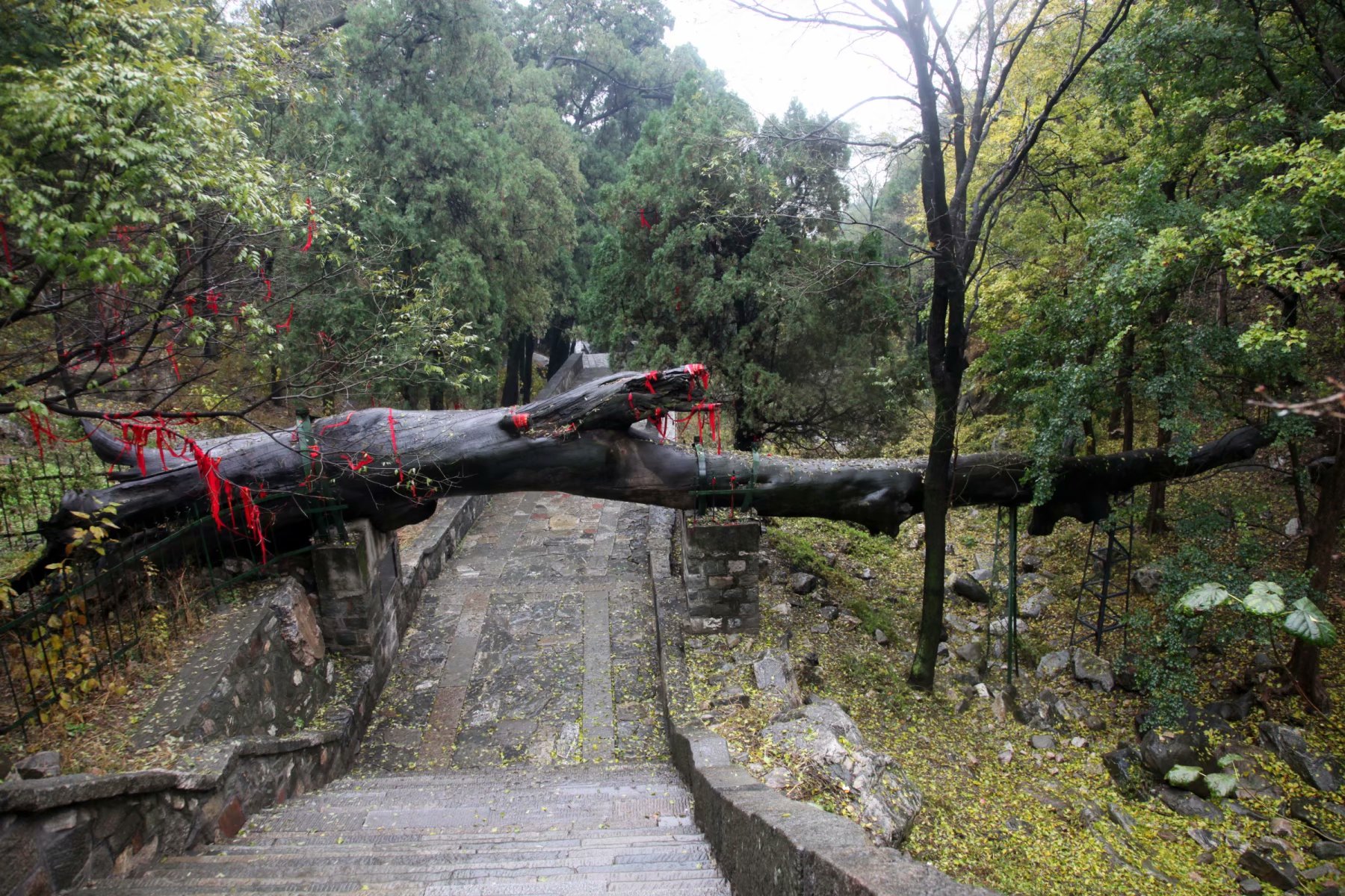 泰山景区在山东哪个市,泰山孔子庙在泰山的位置