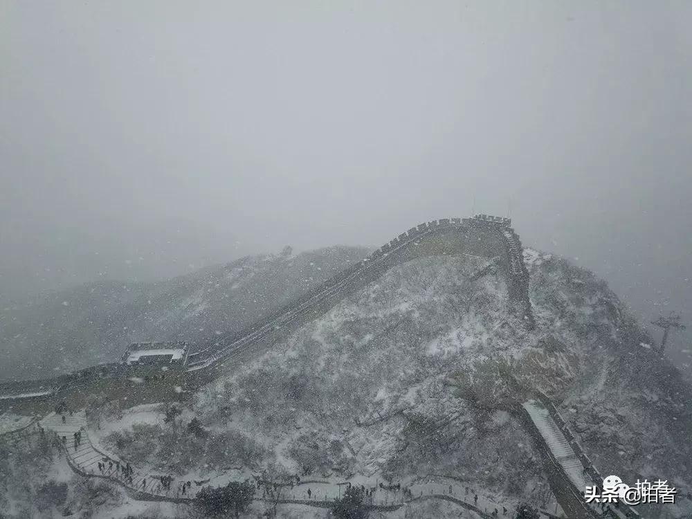 北京迎初雪9只熊猫,北京喜迎初雪去北京动物园看熊猫