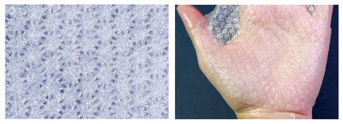 然来这才是真正的你，被骗多年