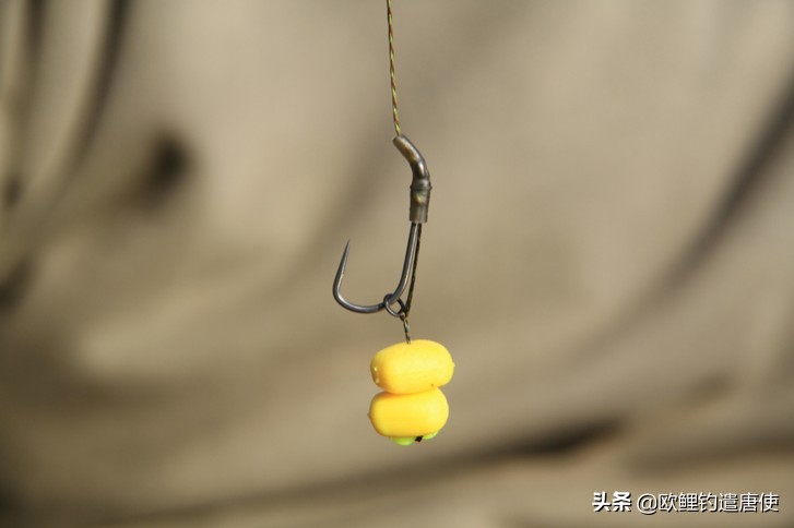 欧洲疫情催生钓鱼热？名企推新手套装钓大鲤鱼