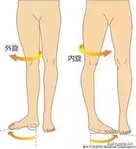 瘦假胯臀最快的方法,妈妈臀假胯宽臀部凹陷先练哪里