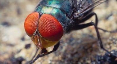 火影忍者真人cosplay写轮眼,火影cos现场