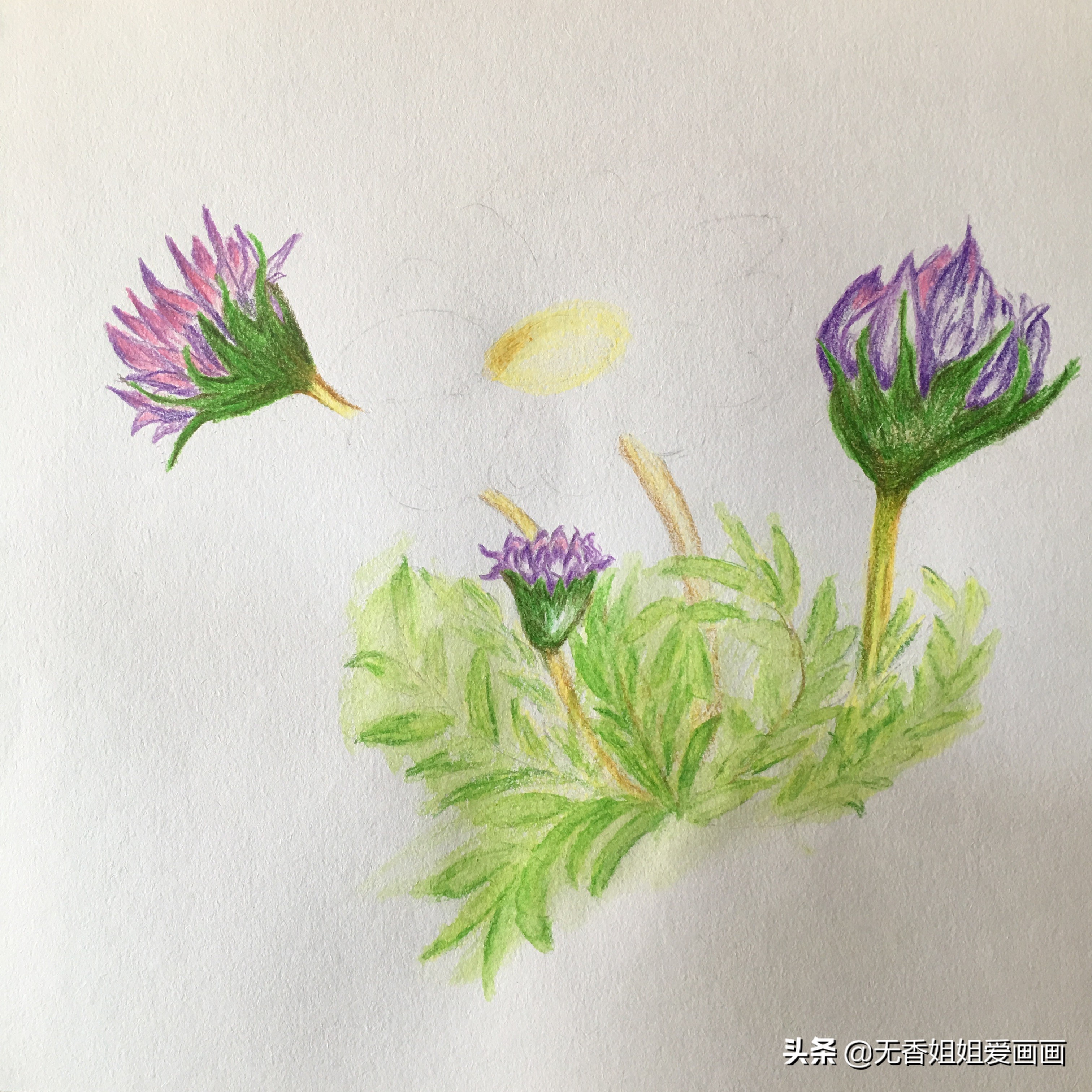 会画画真的是很开心的事情,会画画就要什么都画