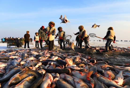 查干湖捕鱼基本上捕多少斤,查干湖冬捕每年什么时间捕鱼