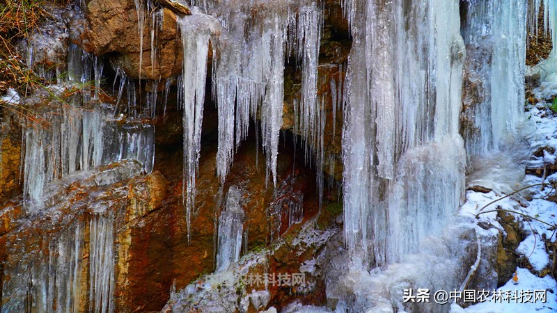 太白县鹦鸽镇药王谷,太白鹦鸽镇药王谷