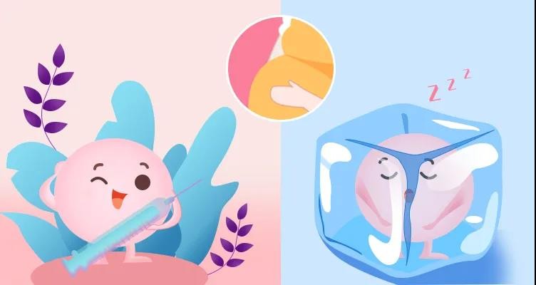 鼓励生三孩政策要点,官方鼓励生三孩政策有哪些