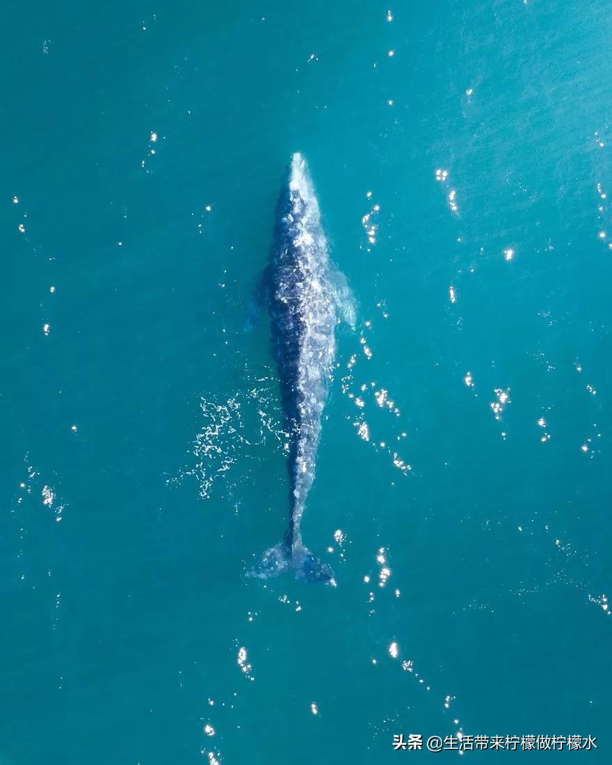 最震撼的34张照片美遍朋友圈,500张最美照片