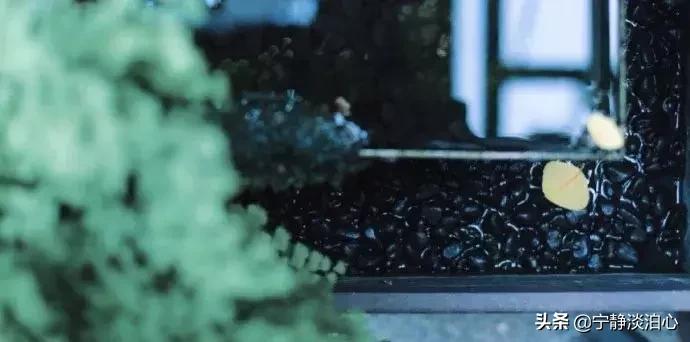 一日慎独则心安日日精进,日日精进人生