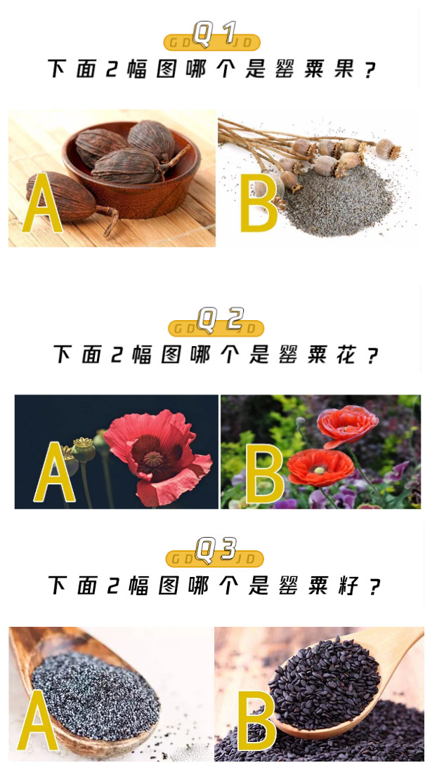 特殊时期外卖火锅,特殊时期能点外卖吗