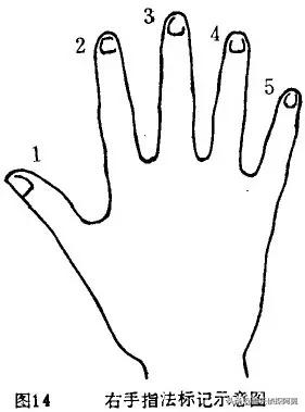 初学者学弹钢琴电子琴,钢琴入门电子琴怎么弹得好一点