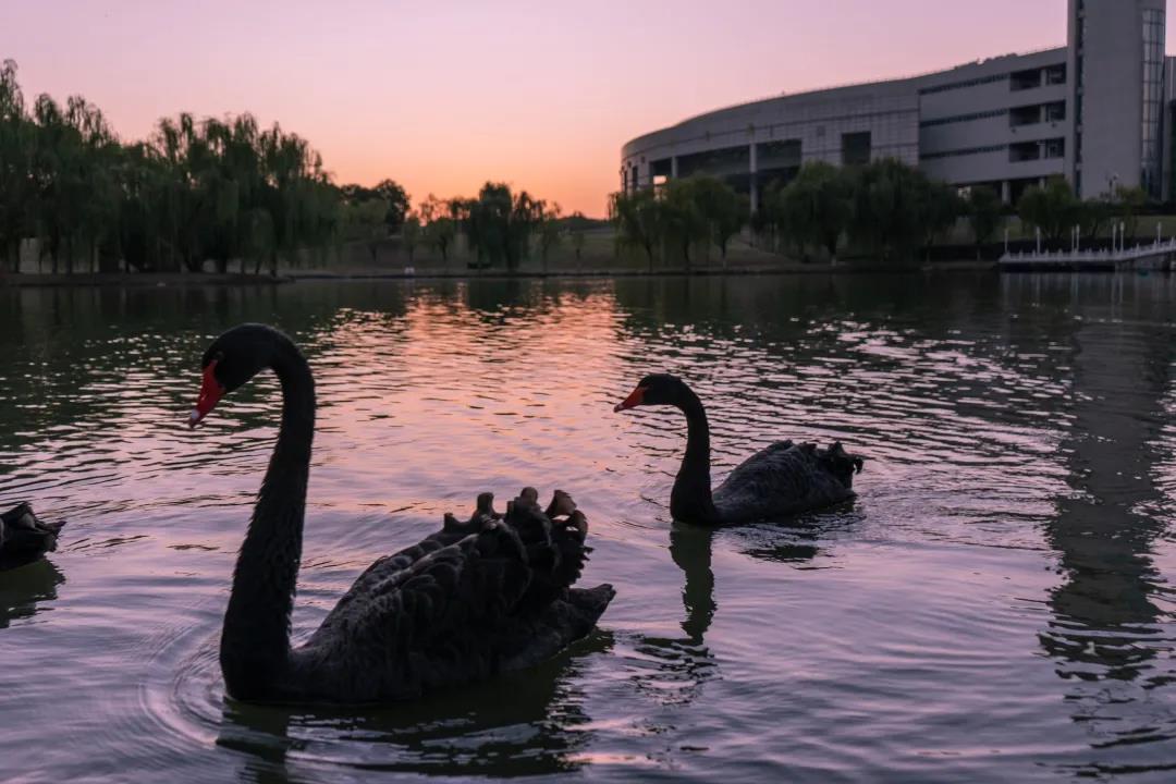 5大校区，占地超7千亩，图书馆藏书340余万册！安徽这所高校大到心累