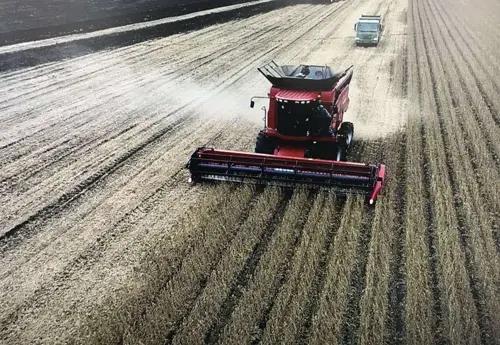 中国大豆产量最大的省,中国大豆种植大县