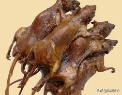 田鼠、猪鞭、臭屁虫、猪眼睛都不放过？食物链顶端的王者：广西人