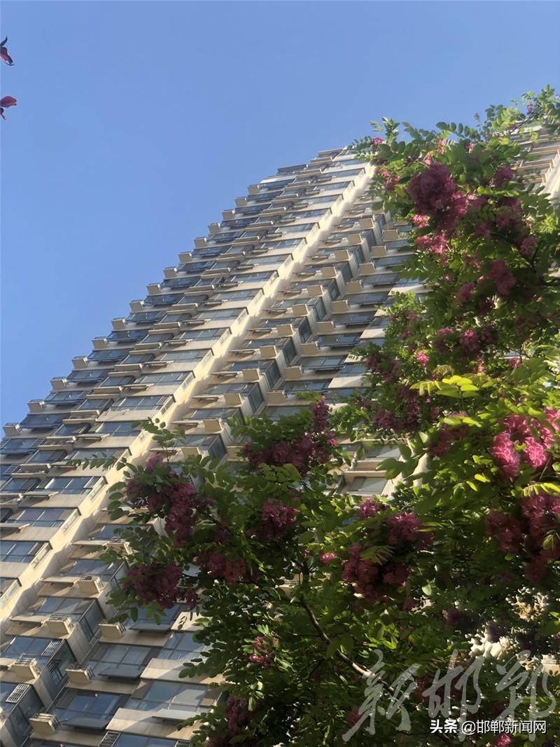 看看你家是不是“最美”！邯郸市“十佳优秀小区”评选活动启帷