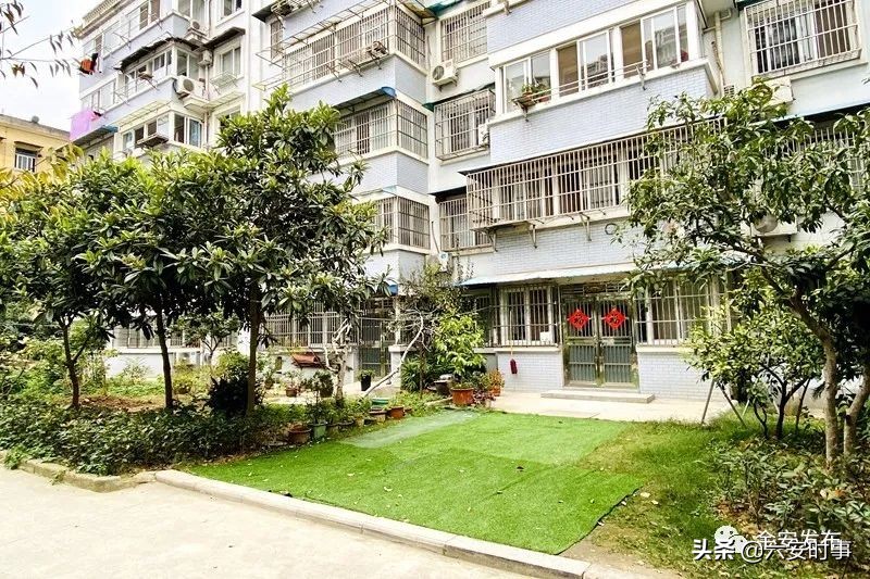 暗访！龙河苑、世纪家园、清水河畔一期、徽盐·湖畔明珠存在这些问题