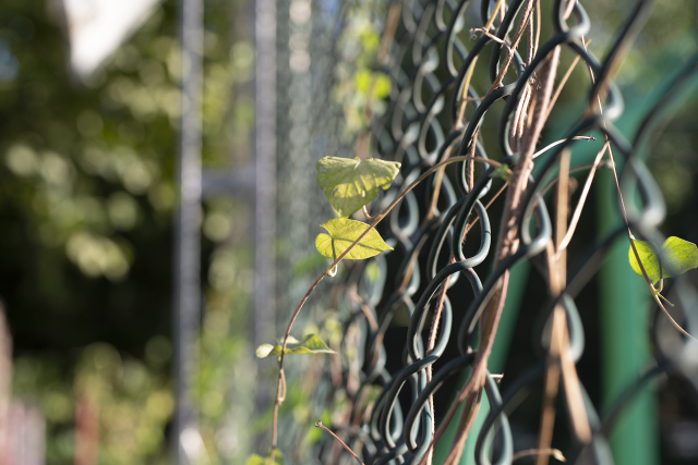 宾得da501.8评测,宾得星头是不是最好