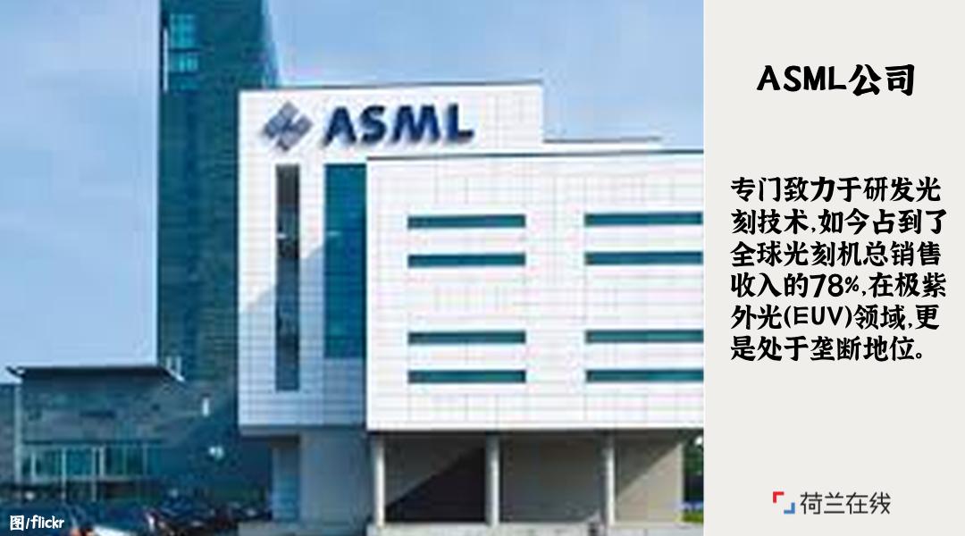 荷兰的郁金香风车牧场和运河,荷兰郁金香风车美景