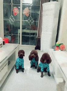 回复领导的辛苦了高情商回复,当有人说你辛苦了如何神回复