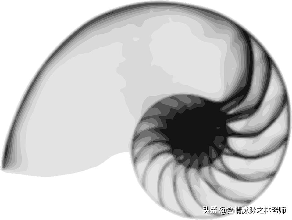 宝华韦健flex和home150对比,宝华韦健formationflex评测