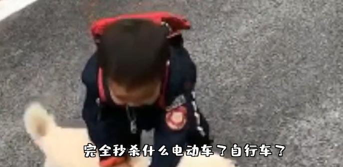 奶奶用大鹅玩娃,奶奶用大白鹅带娃