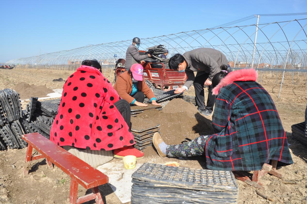 战疫情保春耕预防倒春寒,战疫情保春耕生产