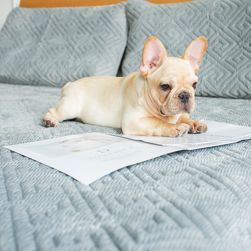 冬天蚕丝保暖被子,冬天蚕丝被被子