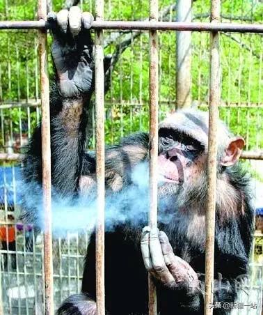 老城回忆乌鲁木齐,乌鲁木齐值得回忆的地方