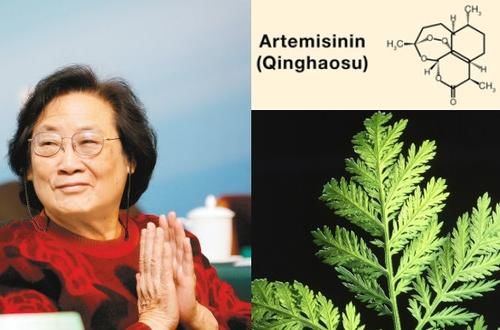 历史上中医瘟疫经典案例,中国历史上中医抗瘟疫