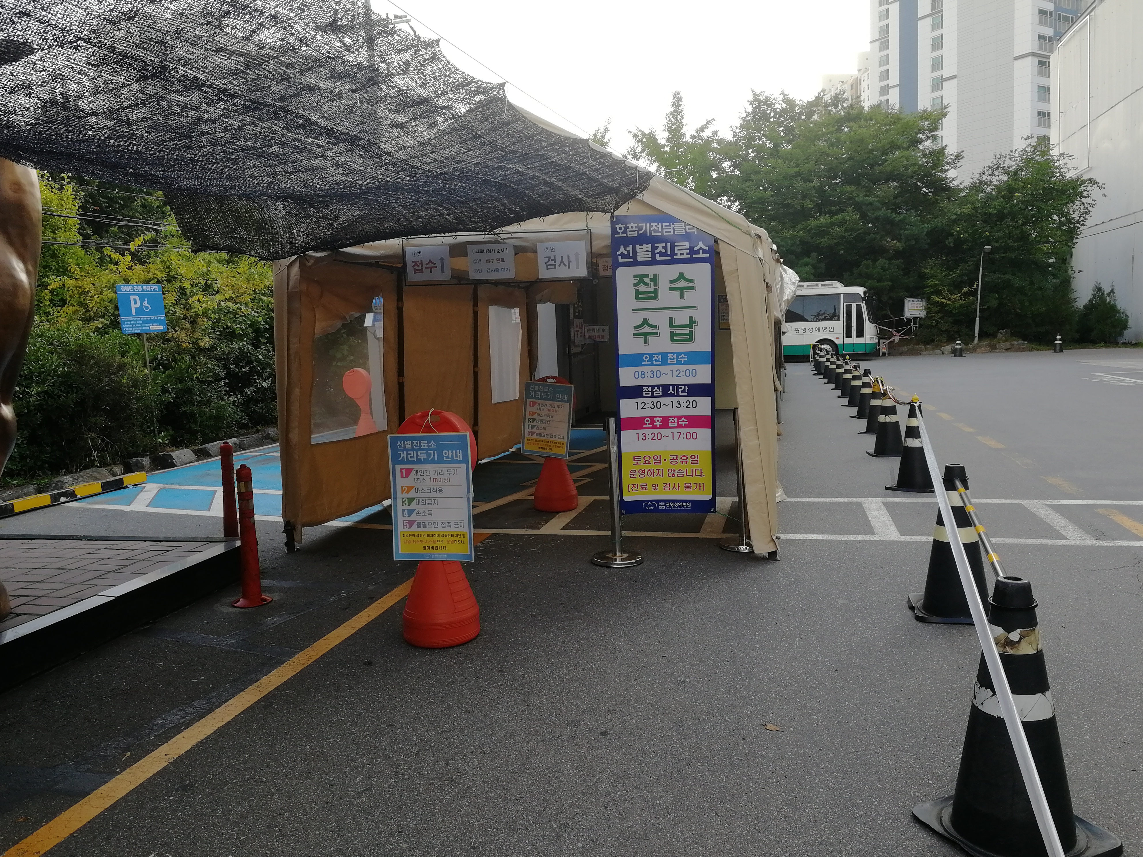 韩国回国感受,韩国回国过程和费用