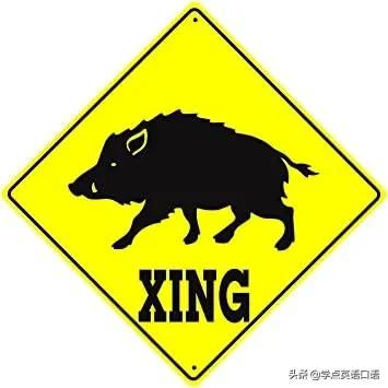 斑马线有人的符号是什么意思,斑马线上的英文什么意思