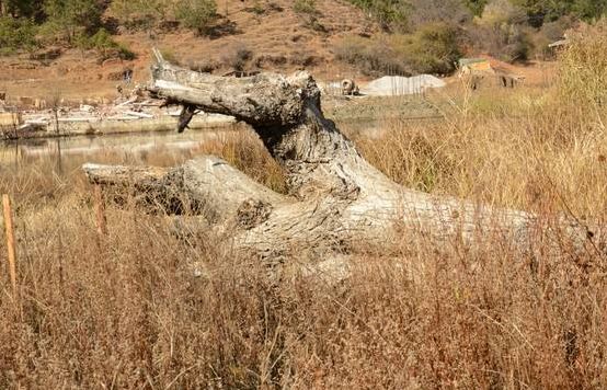 徐州人，快翻翻你的户口本！有这两个字的注意了