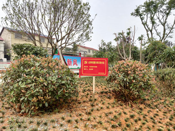 桃李芬芳百花齐放,花开满园桃李芬芳