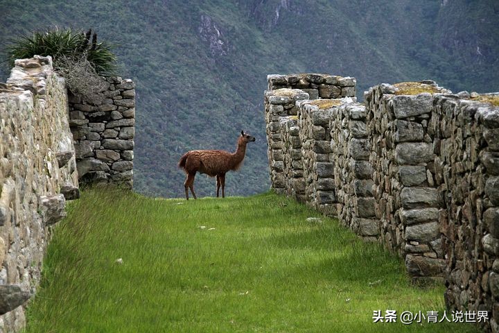 秘鲁的经济,秘鲁经济状况相当于中国哪个城市