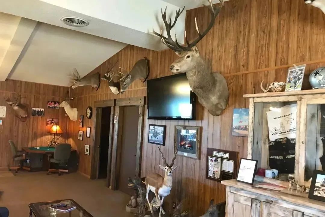 装饰类家具特点,家具与家居生活