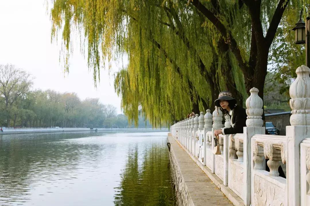 身体不能由自己做主,自己的性别不是自己决定的