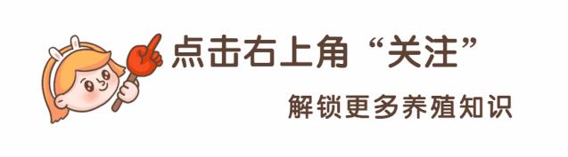 易养殖:带你治好鸡腺胃炎